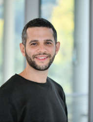 עמית
